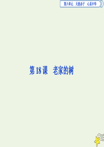 2019-2020学年高中语文 第六单元 天涯赤子 心系中华 第18课 老家的树课件 语文版选修《中