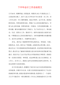 下半年会计工作总结范文