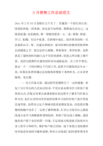 5月销售工作总结范文