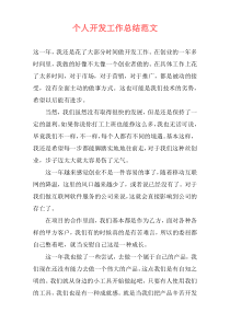 个人开发工作总结范文