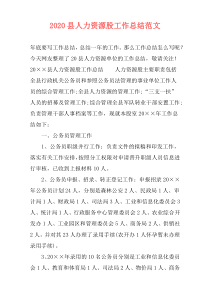 2021县人力资源股工作总结范文