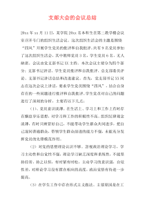 支部大会的会议总结