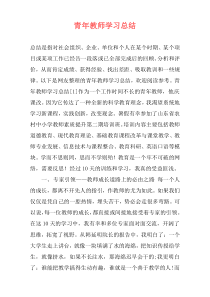 青年教师学习总结