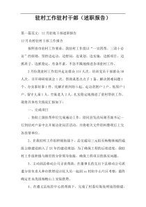 驻村工作驻村干部（述职报告）