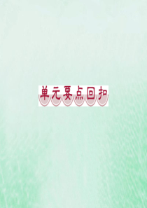 2019-2020学年高中英语 Unit 4 Making the news 6 单元要点回扣课件 