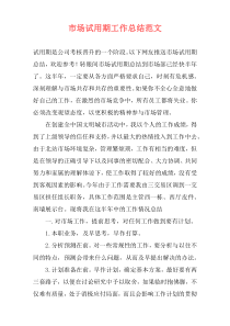 市场试用期工作总结范文