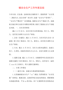 镇安全生产工作年度总结