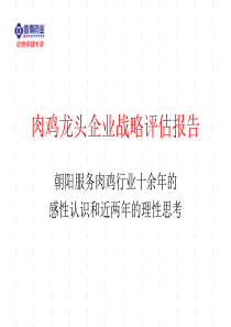 新得-朝阳-肉鸡龙头企业战略评估报告