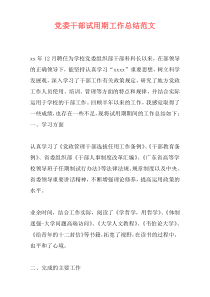 党委干部试用期工作总结范文