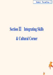 2019-2020学年高中英语 Module 6 War and Peace Section Ⅲ课件