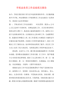 手机业务员工作总结范文报告