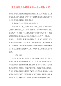 置业房地产公司销售年末总结范例5篇