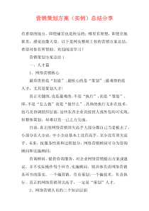 营销策划方案（实例）总结分享