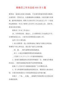 销售员工年末总结800字5篇