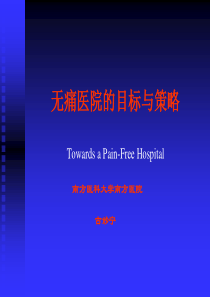 无痛医院的目标与策略ppt-无痛医院的目标与策略