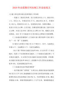 2021年全面推行河长制工作总结范文