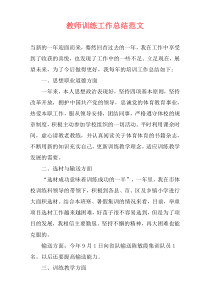 教师训练工作总结范文