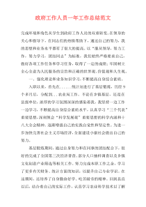 政府工作人员一年工作总结范文