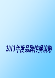 普天西蒙电工品牌推广策略(完成稿)