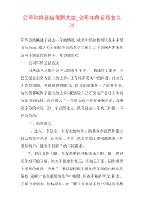 公司年终总结范例大全_公司年终总结怎么写