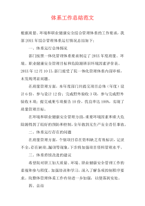 体系工作总结范文