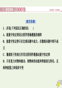 2019-2020学年高中物理 第一章 碰撞与动量守恒 第五节 自然界中的守恒定律随堂演练课件 粤教