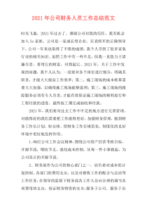2021年公司财务人员工作总结范文