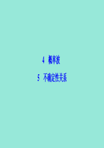 2019-2020学年高中物理 第十七章 波粒二象性 4+5 不确定性关系课件 新人教版选修3-5