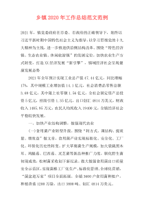 乡镇2021年工作总结范文范例