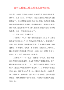 驻村工作组工作总结范文范例2021