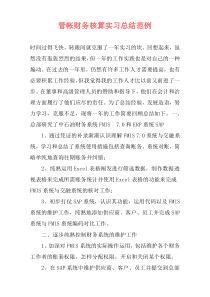 管帐财务核算实习总结范例