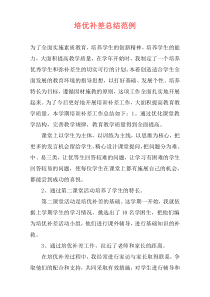 培优补差总结范例