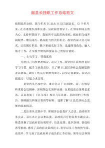 副县长挂职工作总结范文