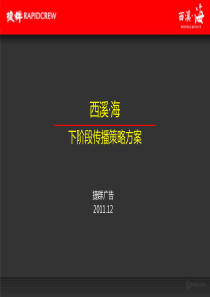 杭州西溪海高端别墅项目下阶段广告传播策略方案_90P_20