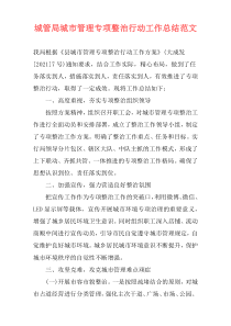 城管局城市管理专项整治行动工作总结范文