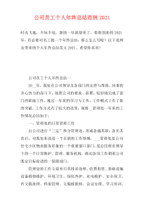 公司员工个人年终总结范例2021