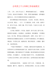 公司员工个人年终工作总结范文