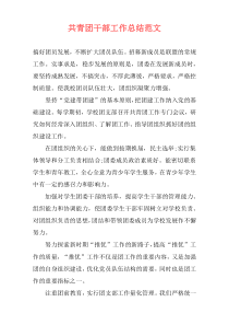 共青团干部工作总结范文
