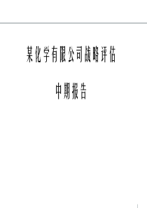 某化学有限公司-战略评估中期报告