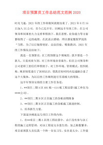 项目预算员工作总结范文范例2021
