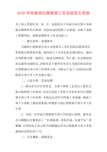 2021年民政局扫黑除恶工作总结范文范例