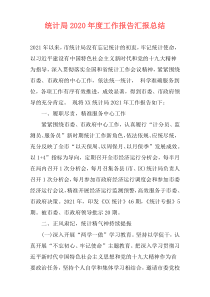 统计局2021年度工作报告汇报总结