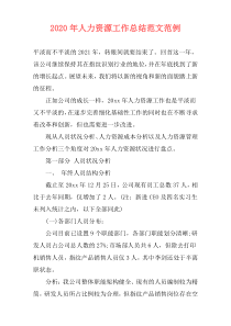 2021年人力资源工作总结范文范例