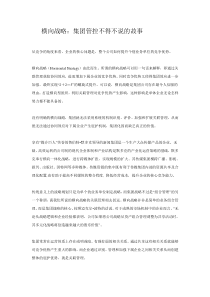 横向战略：集团管控不得不说的故事