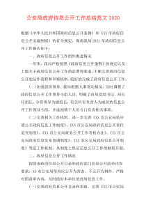 公安局政府信息公开工作总结范文2021