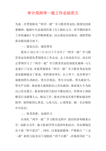 审计局两学一做工作总结范文