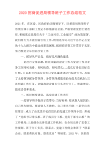 2021招商促进局领导班子工作总结范文