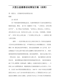 大型公益慈善活动策划方案（实例）