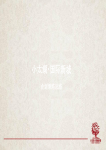 江苏小太湖国际新城现代简约欧式项目策略思路
