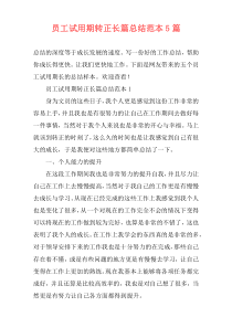 员工试用期转正长篇总结范本5篇